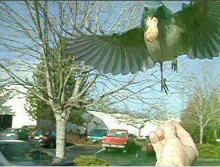 Image4.jpg (25791 bytes)